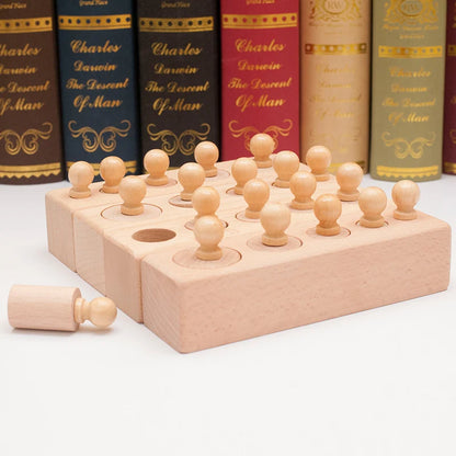 Montessori Knobbed Cylinder Blocks