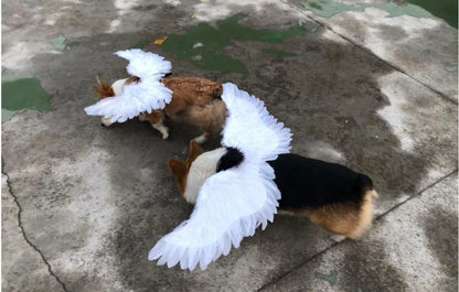 Angel Wings For Pets