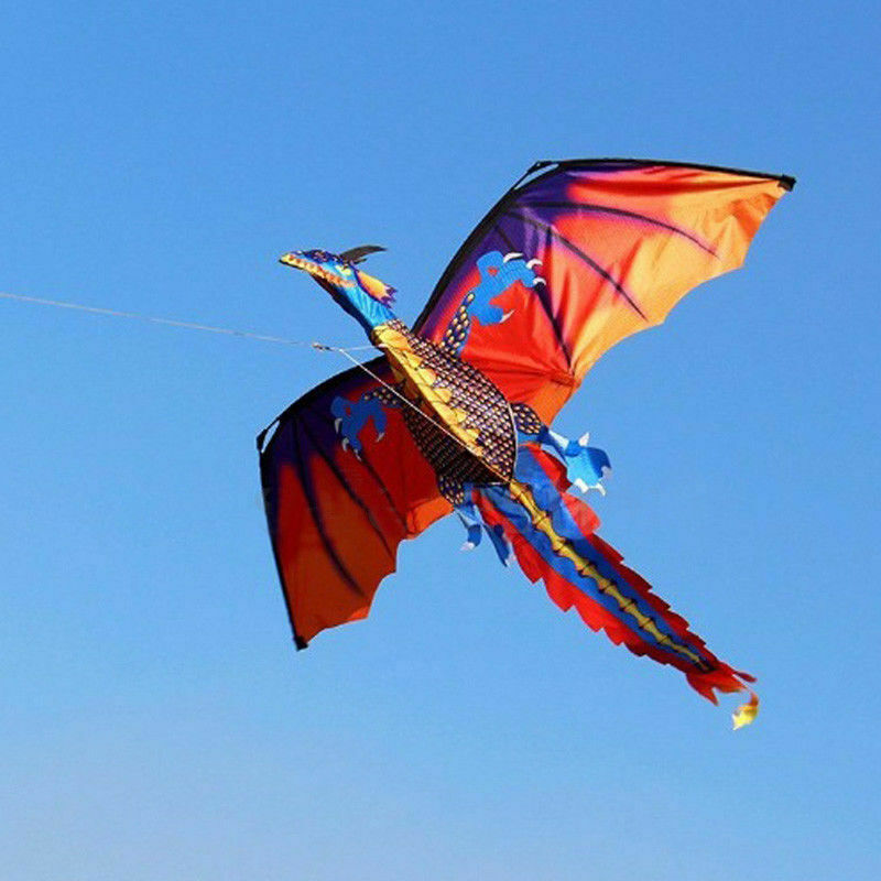 Hot Dragon Long Tail Kite