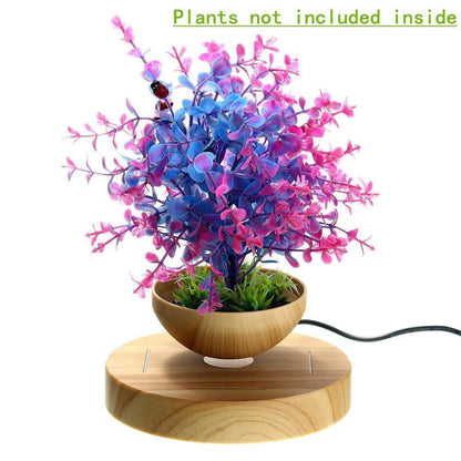 Magnetic Levitating Plant Pot